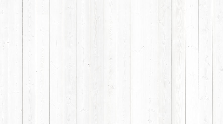 About <?= $companyName ?> Background